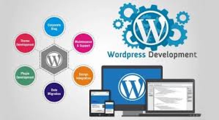 I will design a beautiful website in wordpress or Php