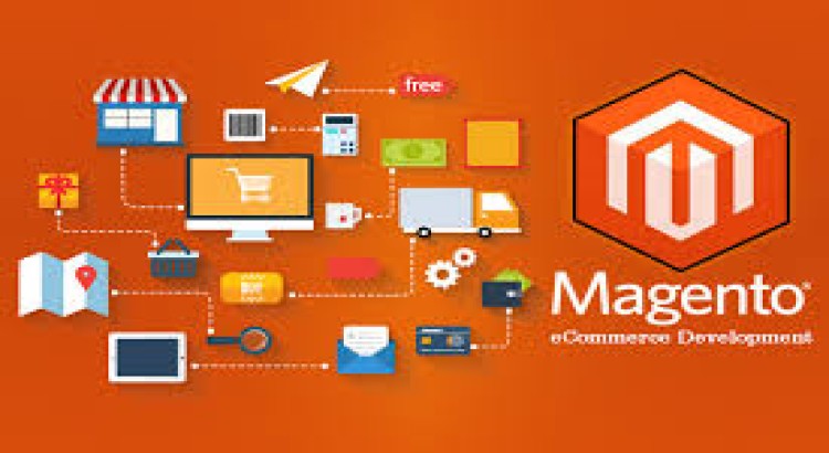 I will design a beautiful Magento E-commerce website