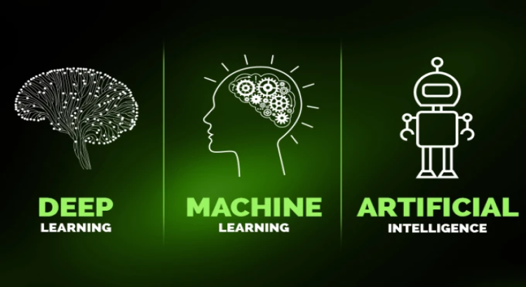 I will do machine learning, deep learning, computer vision projects