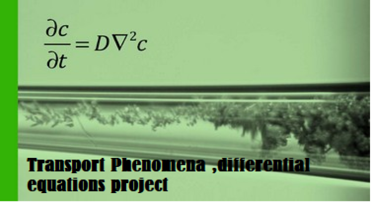 I will do urgent Transport Phenomena ,differential equations project