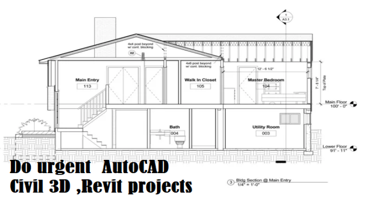 I will do urgent  AutoCAD Civil 3D ,Revit projects