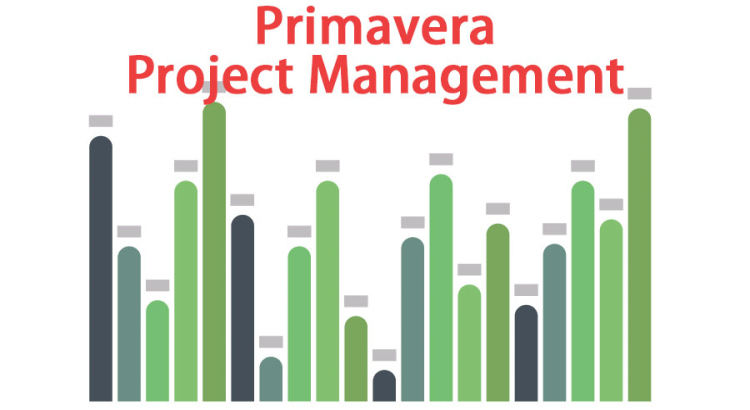 Do Primavera project