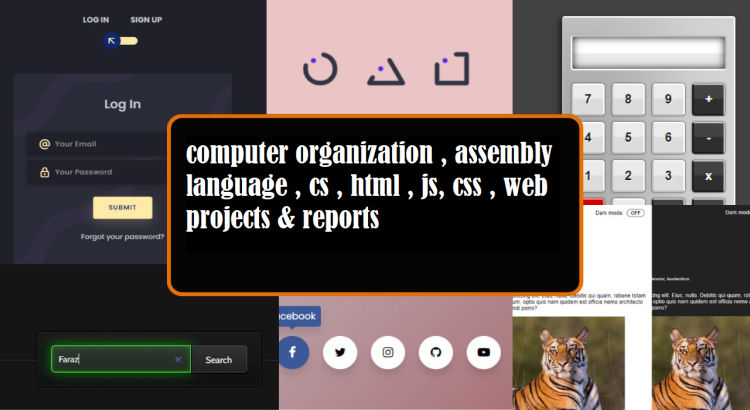 I will help in computer organization , assembly language , cs , html , js, css , web projects report