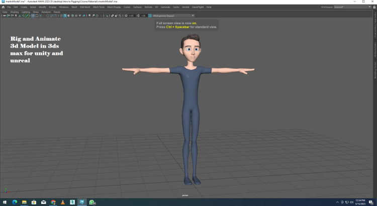 I will Rig and Animate 3d Model in 3ds max for unity and unreal
