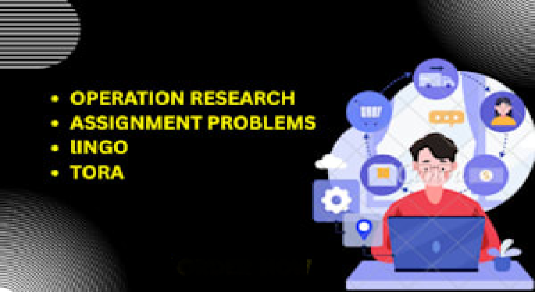 I will assist you in operation research linear programming using simio lingo ,solver , ampl , python