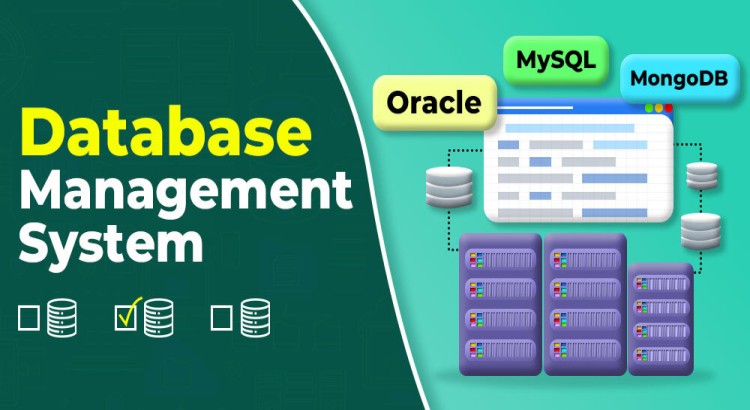 I will do database , mysql , mssql , dbms , database systems sql server