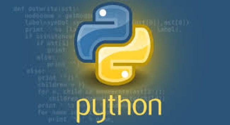 I will design a python website