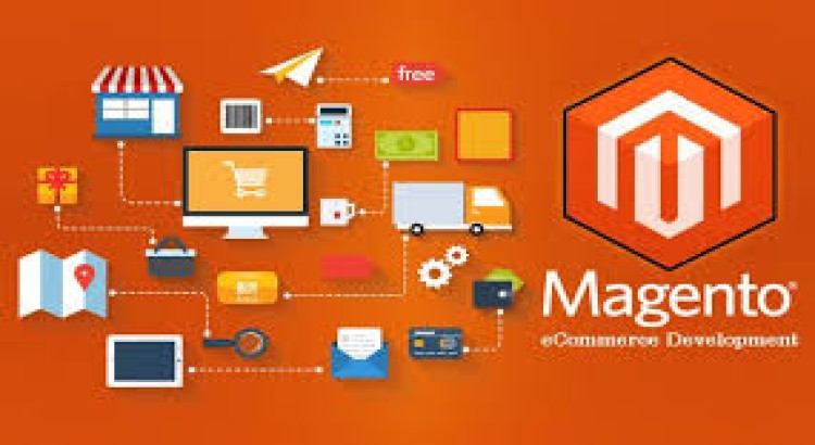 I will design a Magento 2 multivendor ecommerce website