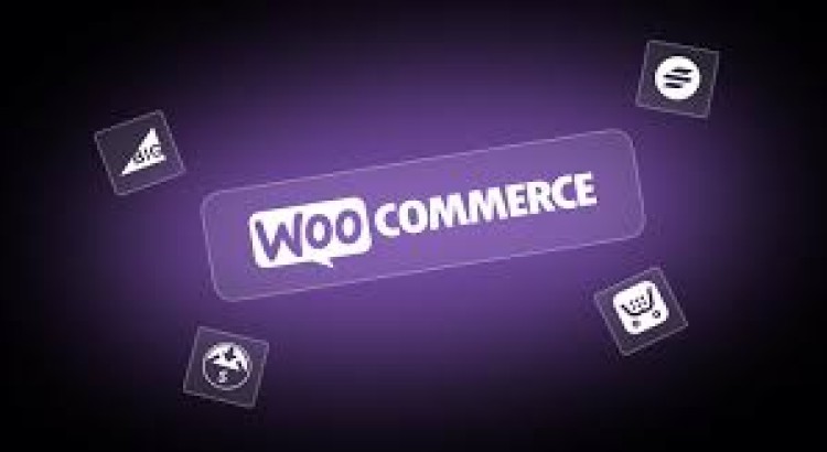 I will design and build a custom woocommerce website
