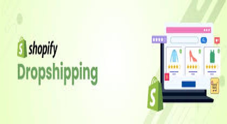 I will create a professional automated dropshipping shopify store