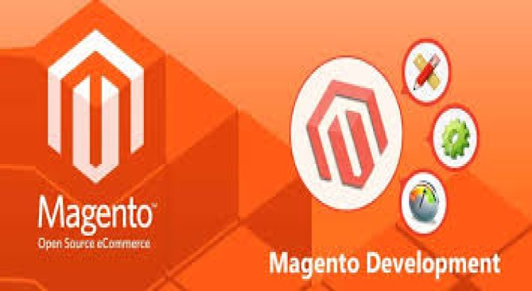 I will develop, design and support a magento 2 website