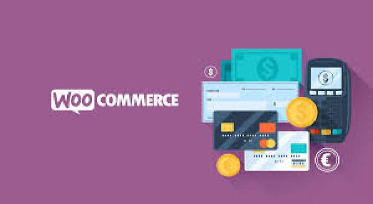 I will build your woocommerce shop