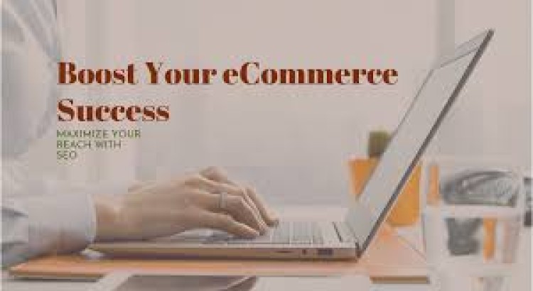 I will do  E-Commerce Search Engine optimization (SEO)