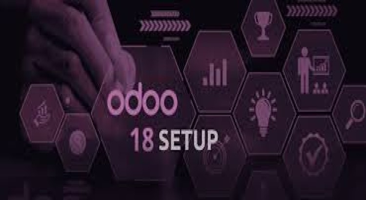I will install and setup odoo 18 erp for your business